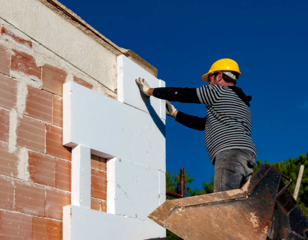 Best Commercial Insulation in Manvel, TX