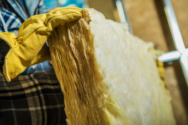 Best Insulation Installation Services in Manvel, TX