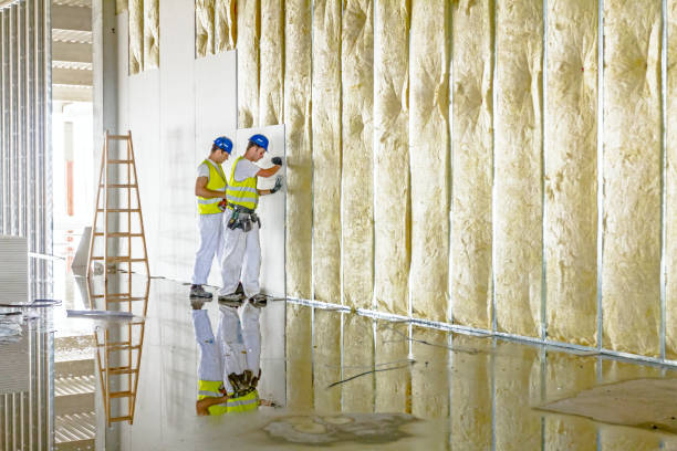 Best Insulation Materials and Products in Manvel, TX